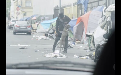 LOS ANGELES CONDONES AND SUPPORTS ANIMAL CRUELTY