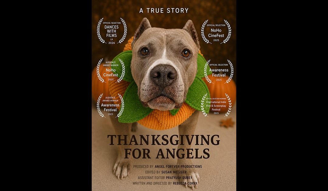 STREAM Thanksgiving For Angels WORLDWIDE!!