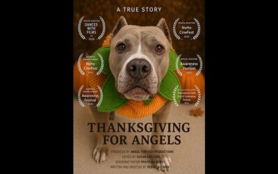 STREAM Thanksgiving For Angels WORLDWIDE!!