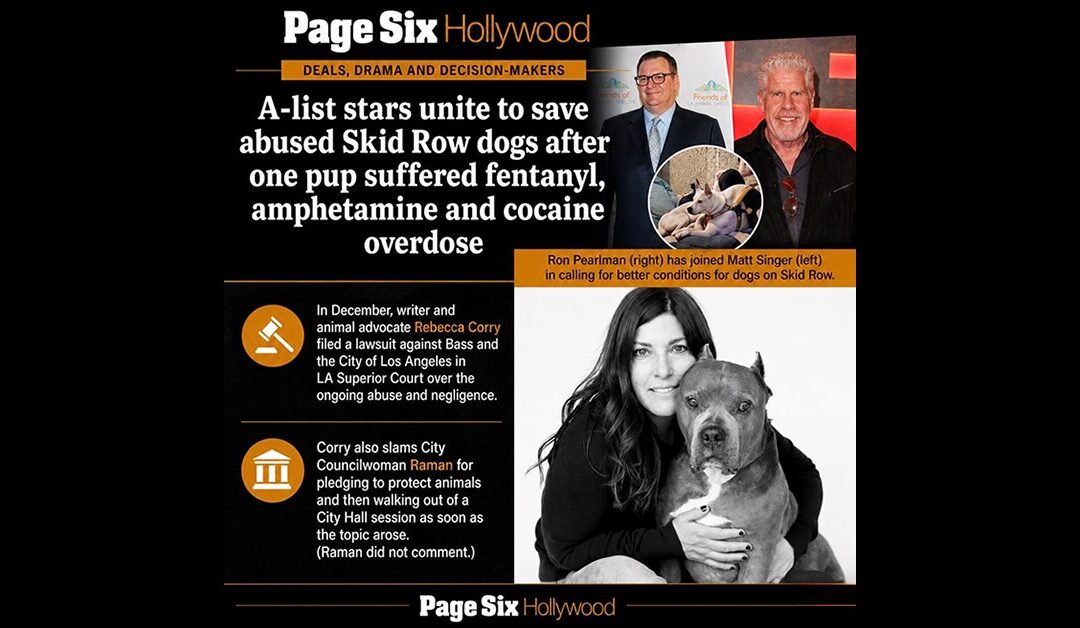 LOS ANGELES IS A LIVING HELL FOR ANIMALS