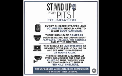 NO TRANSPARENCY SPEAKS VOLUMES