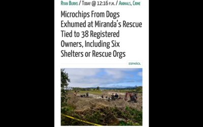 ZERO ACCOUNTABILITY IS THE NEW TREND IN ANIMAL WELFARE