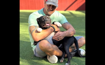 ADOPT SKID ROW SURVIVOR PEDRO!!