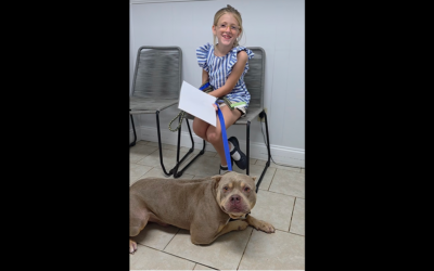 SPAY & NEUTER ANGEL DAY CONTINUES ON IN ALABAMA!