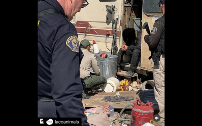 “SKID ROW” IS A NATIONAL CRISIS