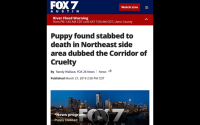 CORRIDOR OF CRUELTY – HOUSTON TEXAS