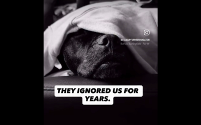 THE SUFP LAWSUIT FOR THE ANIMALS OF LOS ANGELE IS MOVING FORWARD