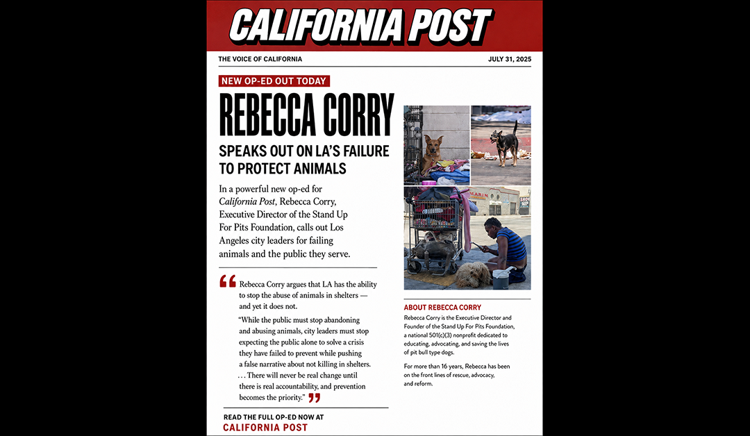 REBECCA CORRY PENS NEW OP-ED