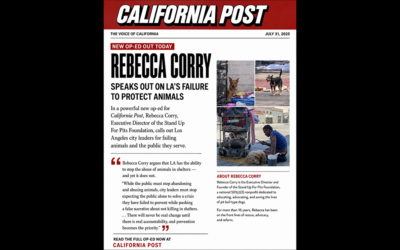 REBECCA CORRY PENS NEW OP-ED
